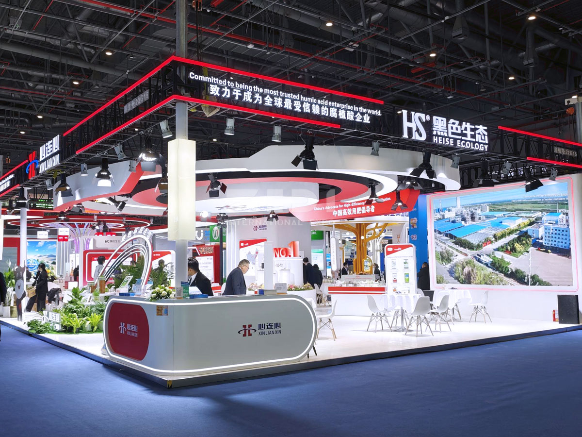 上?；试险古_搭建